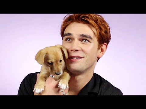 KJ Apa Plays With Puppies While Answering Fan Questions