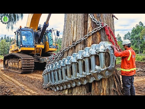 Extreme Dangerous Fastest Big Chainsaw Cutting Tree Machines | Monster Stump Removal Excavator ▶54