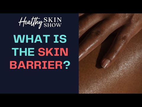 How To PROTECT AND STRENGTHEN Your Skin Barrier | Dr. Peter Lio
