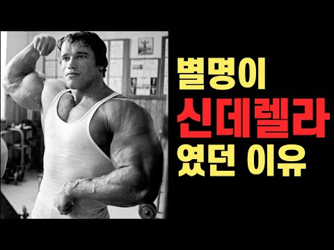 미국인들도 충격받은 아놀드 슈워제네거의 운동 전 모습