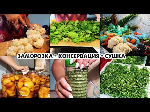 Закупка овощей и фруктов с рынка/Заморозка и сушка зелени на зиму/Домашняя универсальная приправа