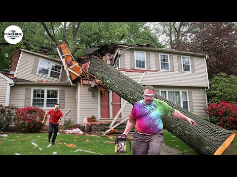 Idiots With Chainsaws: Tree Cutting Fails & Roof Smashes #12