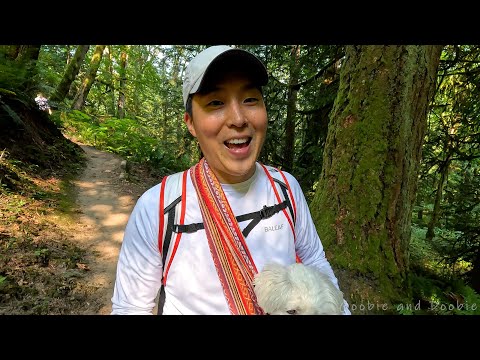 Is College Still Worth It?  What I Would Do If I Was Seventeen Again