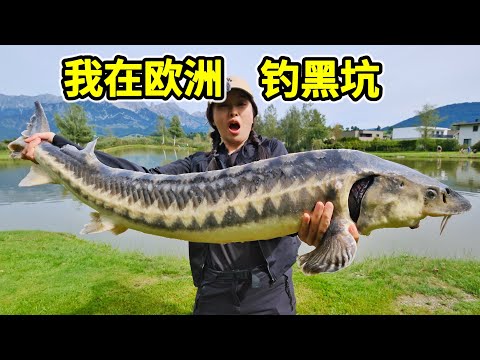 Fishing in European Black Pits: Reeling in Meter-Long Sturgeon—Foreign Black Pits Are This Thrilling