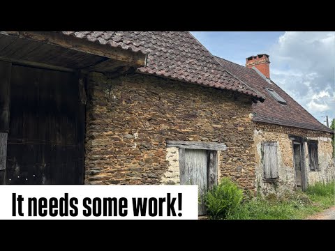 What Have We Done?! We Bought a Barn in France and… Vlog 01