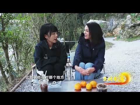 《生财有道》 20251216 “洞”见财富 黔味新生 |  财经风云