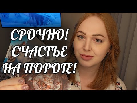 URGENTLY❗️YOU'VE BEEN WAITING FOR THIS FOR MANY YEARS💯🔥