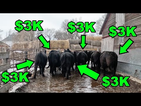Hate To See Them Go, LOVE To Watch Them LEAVE! (Sale Day)