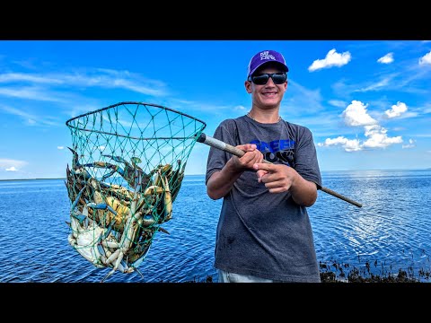 Blue Crab Madness! Scooping as Many as We Want with a Dip Net! (Crab Stew on the Menu)