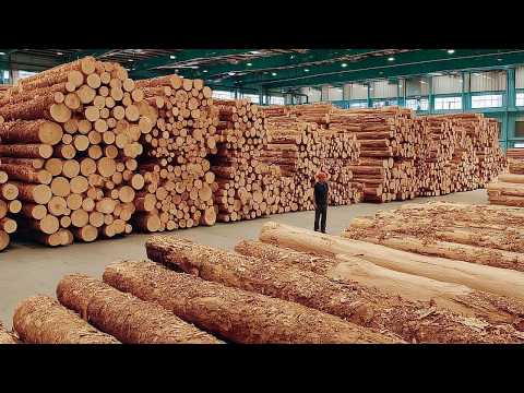 Inside America’s Giant Sawmills - How Mega Sawmills Turn Raw Logs into Billions of Lumber Pieces