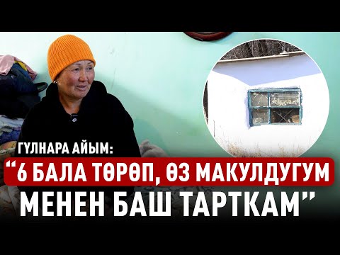 The fate of the woman living in the tomb: Did the state pay attention?