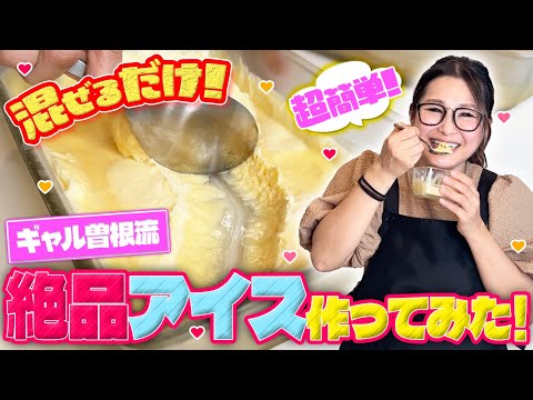 【簡単】泡立て器を使わずに○○で混ぜるだけ！手作り絶品アイスクリームをご紹介！