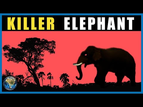 The Killer Elephant of Mandla