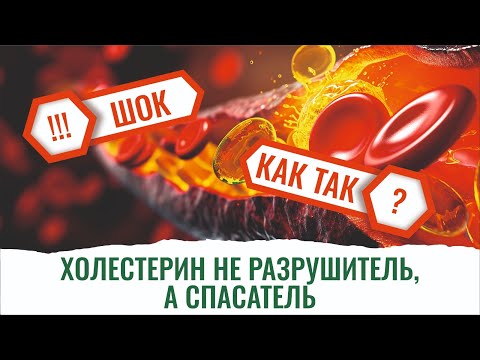 Высокий холестерин? Не беда! Врач Валикова разъясняет, почему.