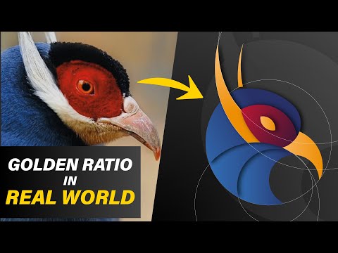 How to design a Bird logo with golden Ratio | Adobe Illustrator