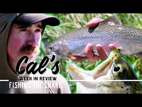 Cal in the Field: Rewards for Rainbows - Fishing the Snake | S2E02 | MeatEater