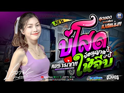 งานล่าสุด!! บ่โสดบ่อนุญาตให้จีบ [[ ปลาย กนกพร ]] เต้ยล้วนๆ ระบบเสียงเบสแน่นๆ #รถแห่ชวมิตรมิวสิค no.2