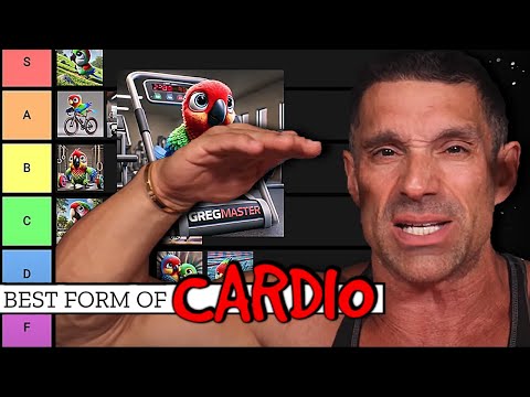 Cardio Tier List || Best Forms Of Cardio