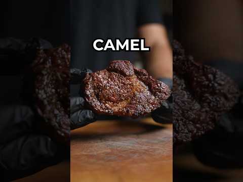 Dry Aged Camel