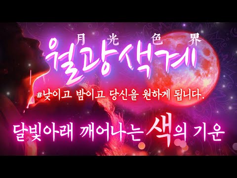 이성들은 당신을 보고 본능적으로 원하게 됩니다. 색의 기운을 깨우는 관능의 주파수. 새로운 이성, 플러팅, 썸, 짝사랑, 멀어졌던 인연, 권태기 해결. #인기 #연애운 #연락운