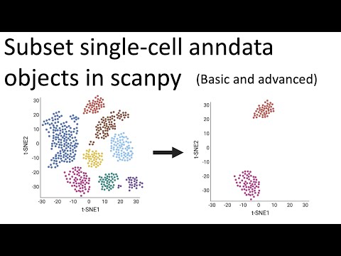 Guide to filtering and subsetting single-cell anndata and pandas objects | basic and advanced