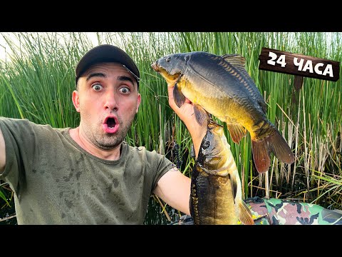 Ловля карпа в камышах [24-Часа] На удочки и бутылки фонарики