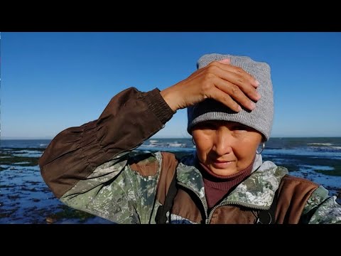 На море после тайфуна.. Гребешки в зеленом ..