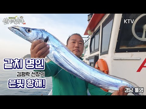 (경남 통영) 통영 갈치잡이 고수, 명인 김평락 선장의 은빛 항해! 잡힐때까지 풍 옮긴다!! 4 ~ 7지 ktv, korea tv, hairtail, bts (통영 산양)(시즌3)
