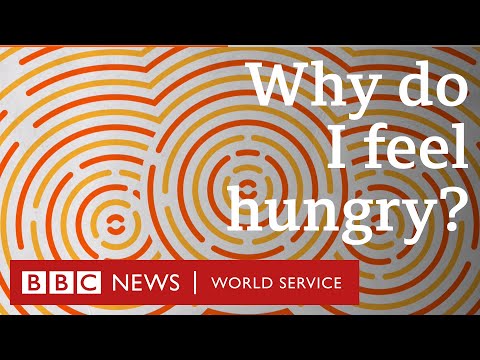 Why do I feel hungry? - BBC World Service