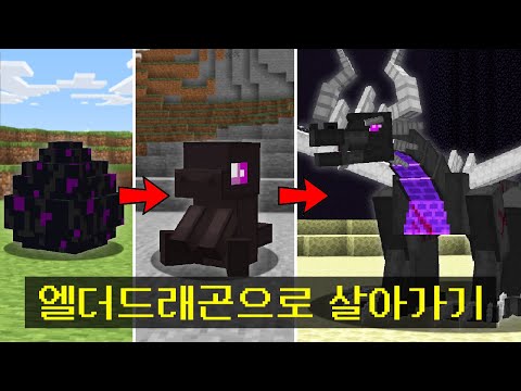 마인크래프트, 엘더드래곤 키우기 시뮬레이션 켠왕하기