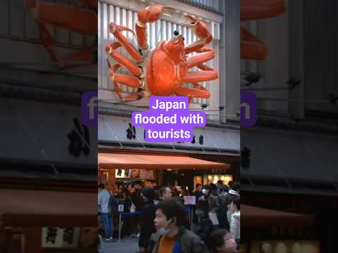 Over-tourism in Japan #travel #japan #overtourism