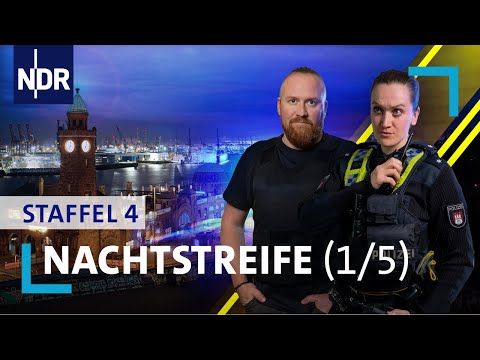Nachtstreife - Schüsse im Wohnviertel | Folge 1/Staffel 4 | SWR Doku