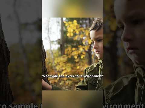 The Brain Learns About The World By Prediction (and Dopamine!)