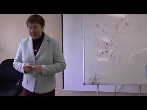 Как работает наш организм?