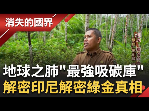 靠種樹就能賺錢? "碳定價"日益增高 雨林國家成"超強吸碳庫"吸引全球投資者! 前進印尼解密綠金的真相 在發展與環保中尋找平衡│李文儀主持│【消失的國界PART1】20230507│三立新聞台