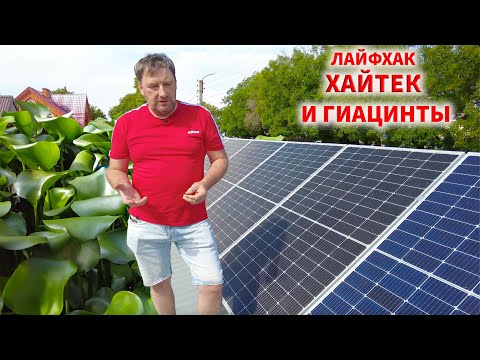 Life hacks, high tech, and incredible hyacinths. Andrey, Armavir