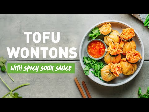 Tofu Wontons with Sweet & Sour Sauce