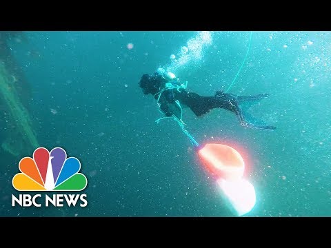 Hunting For Ghost Gear: What Happens When Fishing Nets Go Rogue | NBC News