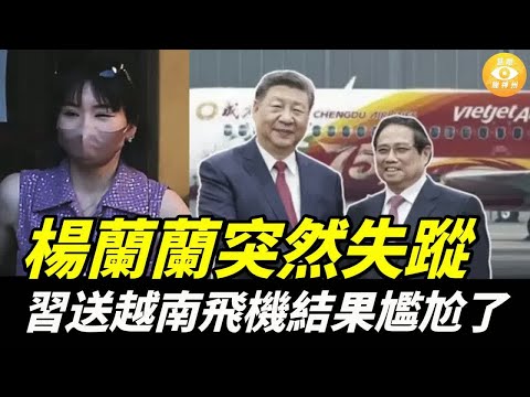 【快報】楊蘭蘭突然失蹤，中國多地群鴉亂舞！恐怖流感橫掃中國！習送飛機給越南，結果尷尬了