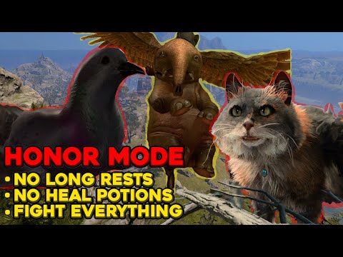 8 Wings, 0 Brains. Baldur's Gate 3, Nine Hells Challenge