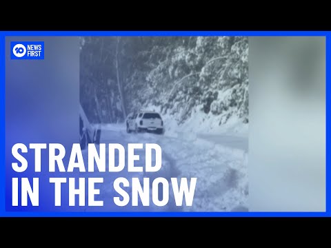 Dozens Rescued After Heavy Snowfall Across Australian Mountains | 10 News First