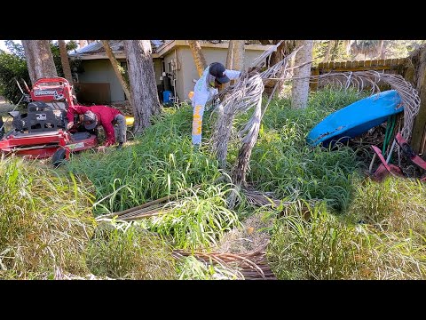 The Backyard Was SO BAD We Nearly Quit…But Look at the Ending!