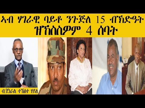 ERISAT: ኣብ ሃገራዊ ባይቶ ንጉጅለ 15 ብኽድዓት ዝኸሰስዎም 4 ሰባት | ብ/ጀነራል ተኸስተ ሃይለ | 3ይን መወዳእታን ክፋል
