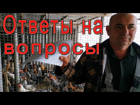 Отвечаю на комментарии | Вопросы подписчиков