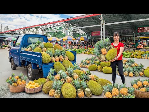 Rewind Timelapse: Harvest Pineapple & Jackfruit by 3-Wheeled Truck, How to Shop in the Supermarket