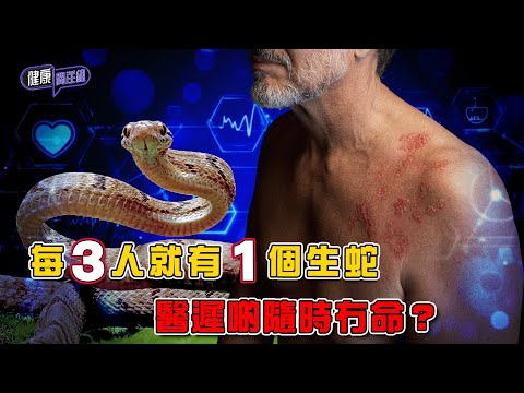 每3人就有1個生蛇 醫遲啲隨時冇命？｜ 健康關注組 ｜ EP471 ｜ 生蛇 ｜ 蛇針 ｜ 肺炎 ｜ 腦炎 ｜ 糖尿病 ｜ 黃芳雯 ｜ 麥詩敏 ｜ HOY TV 77台