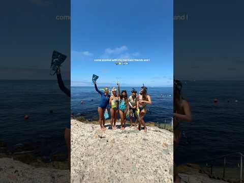 come snorkeling with my mermaid friends 🧜‍♀️🐠🤿 #snorkel #catalinaisland #underwater