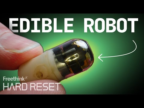 I ate the real 'Magic School Bus.' Here's what it found. | Hard Reset