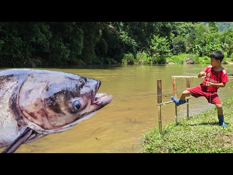 FULL VIDEO 15 days, Bac's fishing technique, sets traps to catch giant fish.