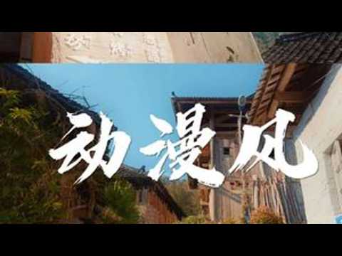 零差评的iPhone调色？#把生活拍成电影 #林馆长lut #iPhone17Pro #电影感 #手机摄影